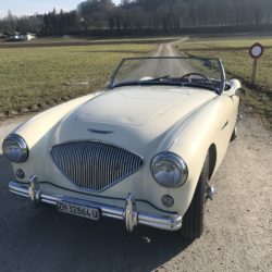 Austin Healey 100/4 BN1