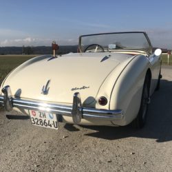 Austin Healey 100/4 BN1