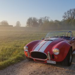 AC Cobra Replica - Rover V8