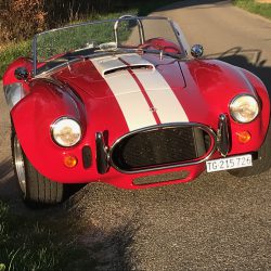 AC Cobra (Rover)