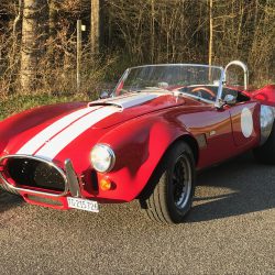 AC Cobra (Rover)