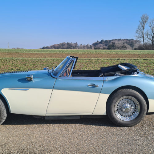 Austin Healey und Jaguar MKII